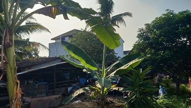 Tanah Dekat Komersil Area Boja, Cocok untuk Buka Usaha