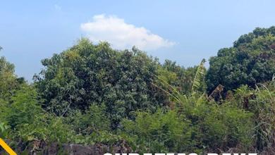 Tanah di Suratmo Raya Semarang Barat Cocok untuk Usaha, Bank, Kantor