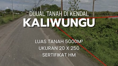 Dijual Tanah Eksklusif di Kaliwungu, Kendal, LT 5000m²