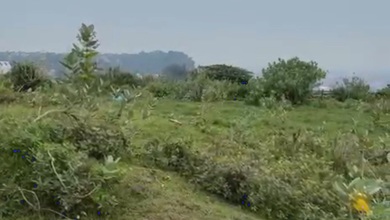 Kavling Prestisius Dijual di Ngaliyan, Semarang, Harga 365 Triliun