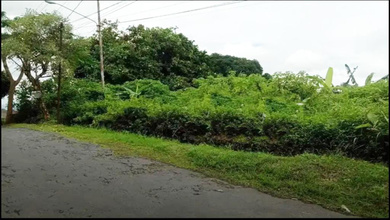 Tanah Elit Dijual di Bukit Sari, Semarang, Harga 937 Miliar