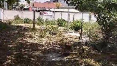 Kavling dengan Harga Terjangkau di Ngaliyan Semarang