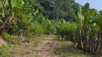 Tanah Siap Bangun Kawasan Komplek Gunung Pati Semarang