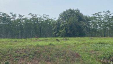 Jual Terjangkau Tanah 800 m2 Lokasi Strategis