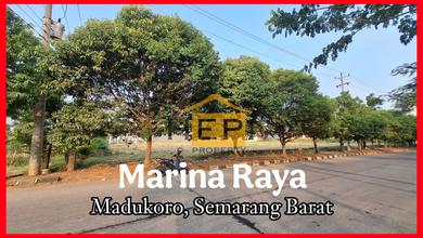 Tanah Kawasan Bisnis di Marina Raya Akses Kontainer