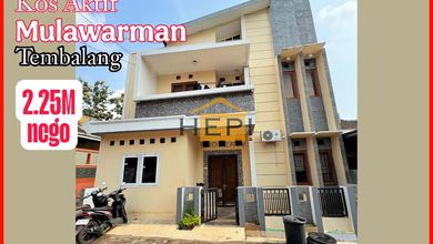 Kos Aktif Murah 2Lt di Mulawarman Tembalang