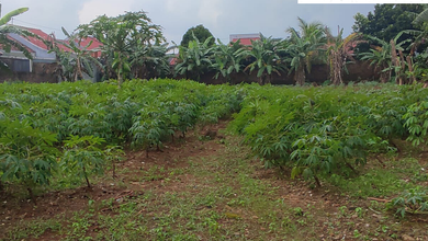 Tanah Elit Dijual di Tembalang, Semarang, Harga 5,25 Miliar