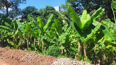 Kavling Prestisius Dijual di Gunung Pati, Semarang, Harga 5,4 Miliar