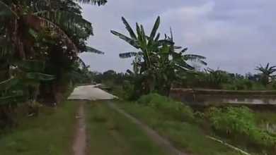 For Sale Tanah Premium di Karangawen, Demak, LT 728m²