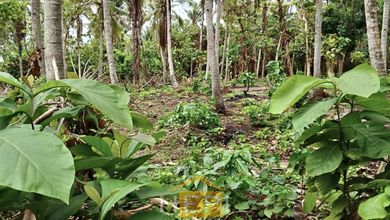 Jual Murah Tanah 16400 m2 Kawasan Strategis