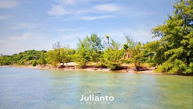 Tanah Elit Dijual di Karimunjawa, Jepara, Harga 24 Miliar