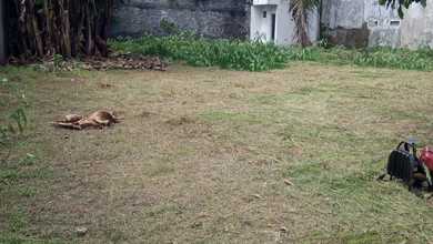 Dijual Tanah Premium di Semarang Barat, Semarang, LT 387m²