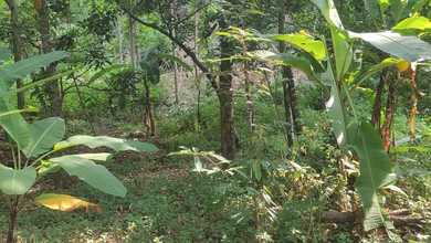 Dijual Tanah di Lokasi Premium Gunung Pati, Semarang, Harga 2 Miliar