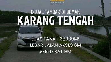 Tanah Elit Dijual di Demak, Demak, Harga 19,4 Miliar