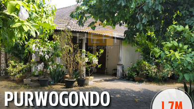 Rumah Elit Luas 702 m2, di Semarang Utara, Semarang