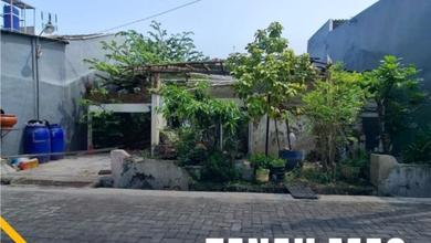 Dijual Tanah di Tanas Mas Semarang Utara