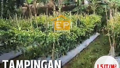 Kesempatan Tanah Murah di Boja, Semarang, Luas 213m²