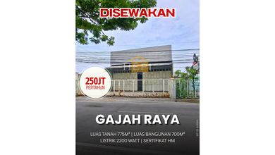 Ruko Tegnah Kota di Gajah Raya Semarang Timur