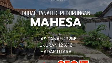 Jual Tanah di Lokasi Premium Pedurungan, Semarang, Harga 850 Juta