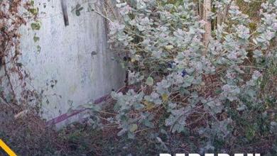 Di. Jual. Tanah di. Babatan. Ungaran