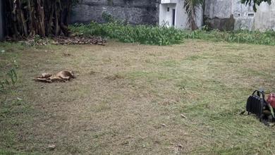 Kavling Prestisius Dijual di Semarang Barat, Semarang, Harga 3 Miliar