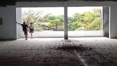 Ruang Usaha Cocok Utk Gudang, Resto / Cafe, Toko