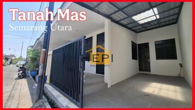 Di Sewa Rumah Cantik Tanah Mas Semarang - Siap Huni & Bebas Banjir