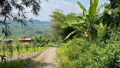 Tanah Murah Gunung Pati Berview Akses Mobil Nempel Jalan