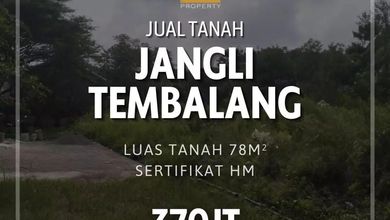 Tanah Bisnis Pinggir Jalan Raya Kawasan Jangli