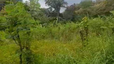 Tanah LT 720 m2 Kawasan Strategis Kedungmundu, Dijual Terjangkau