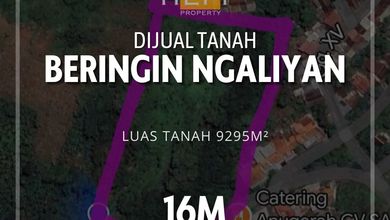 Tanah Luas 9295 m2 Lokasi Strategis Ngaliyan, Dijual Terjangkau