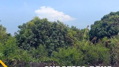Dijual Tanah Cocok untuk Tempat Usaha Bebas Banjir di Suratmo Raya Semarang Barat