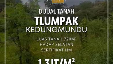 Tanah Bebas Banjir Dekat Undip di Tlumpak Kedungmundu Semarang