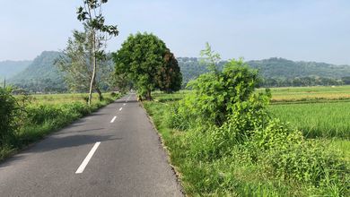 For Sale Tanah Premium di Prambanan, Klaten, LT 9091m²